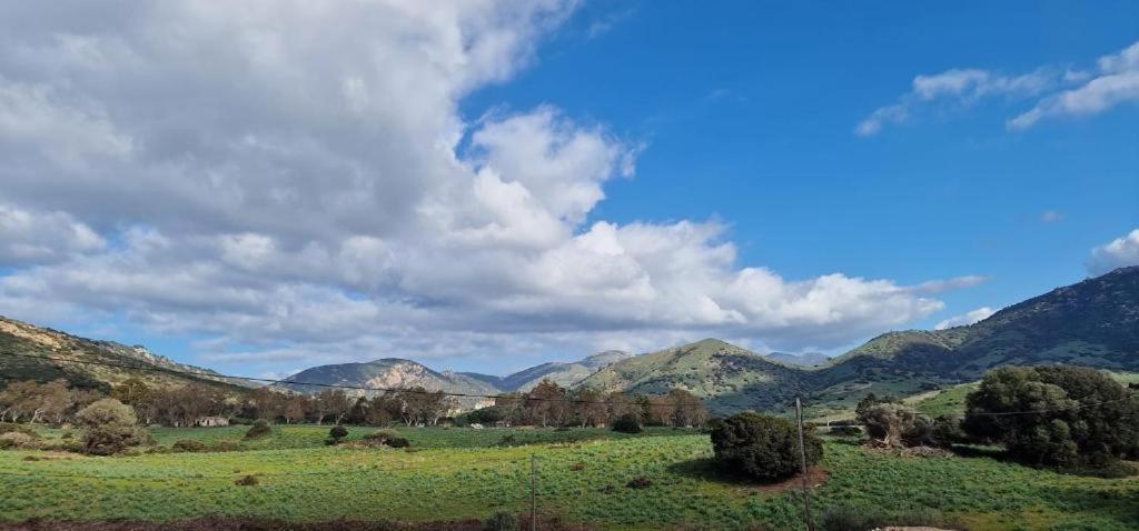 Apartamento Les Collines De Lava Appietto Exterior foto
